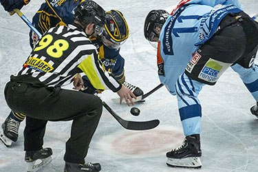 Ice hockey referee drops puck as players in blue and white jerseys face off for control on the rink.