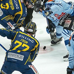 Ice hockey players from opposing teams contesting the puck during a match, showcasing intense action and team rivalry.